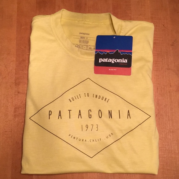 Patagonia Other - Patagonia Polarized Tee Men’s Small